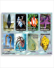 Bill Stuffer: Sea Life Stickers