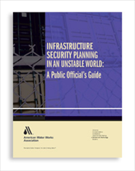 Infrastructure Security Planning in an Unstable World: A Public Official's Guide