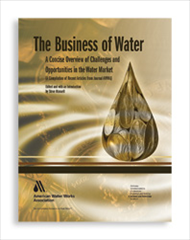The Business of Water: A Concise Overview of Challenges and Opportunities in the Water Market