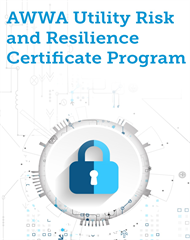 Utility Risk and Resilience Certificate Program