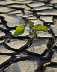 Drought Preparedness and Response: Developing a Water Shortage Plan